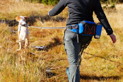 Non-Stop Dog Wear - Ferd Belt