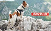 Ezydog - Zeroshock Lite Leash