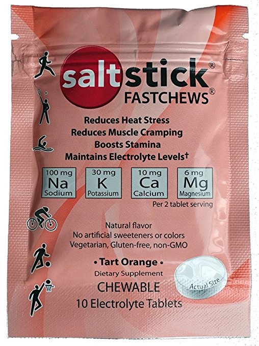 SaltStick Chewable Fast Chews - Pack of 10