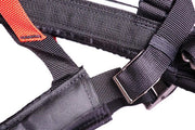 Non-stop Dogwear - Freemotion Harness